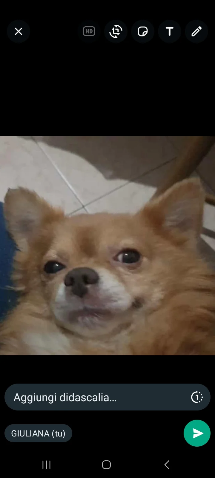 NATALINO