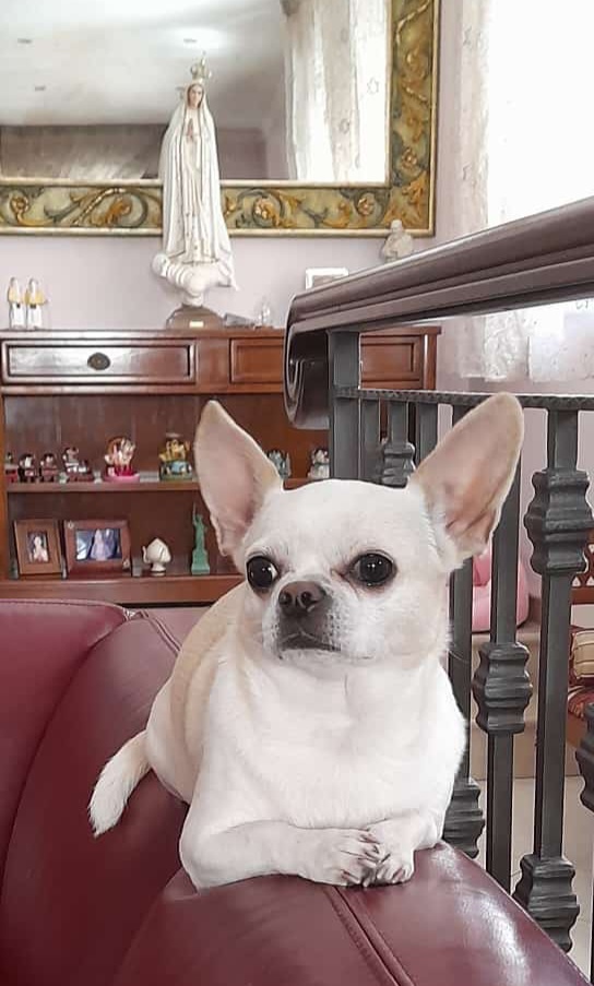 inbound1881777304427876807