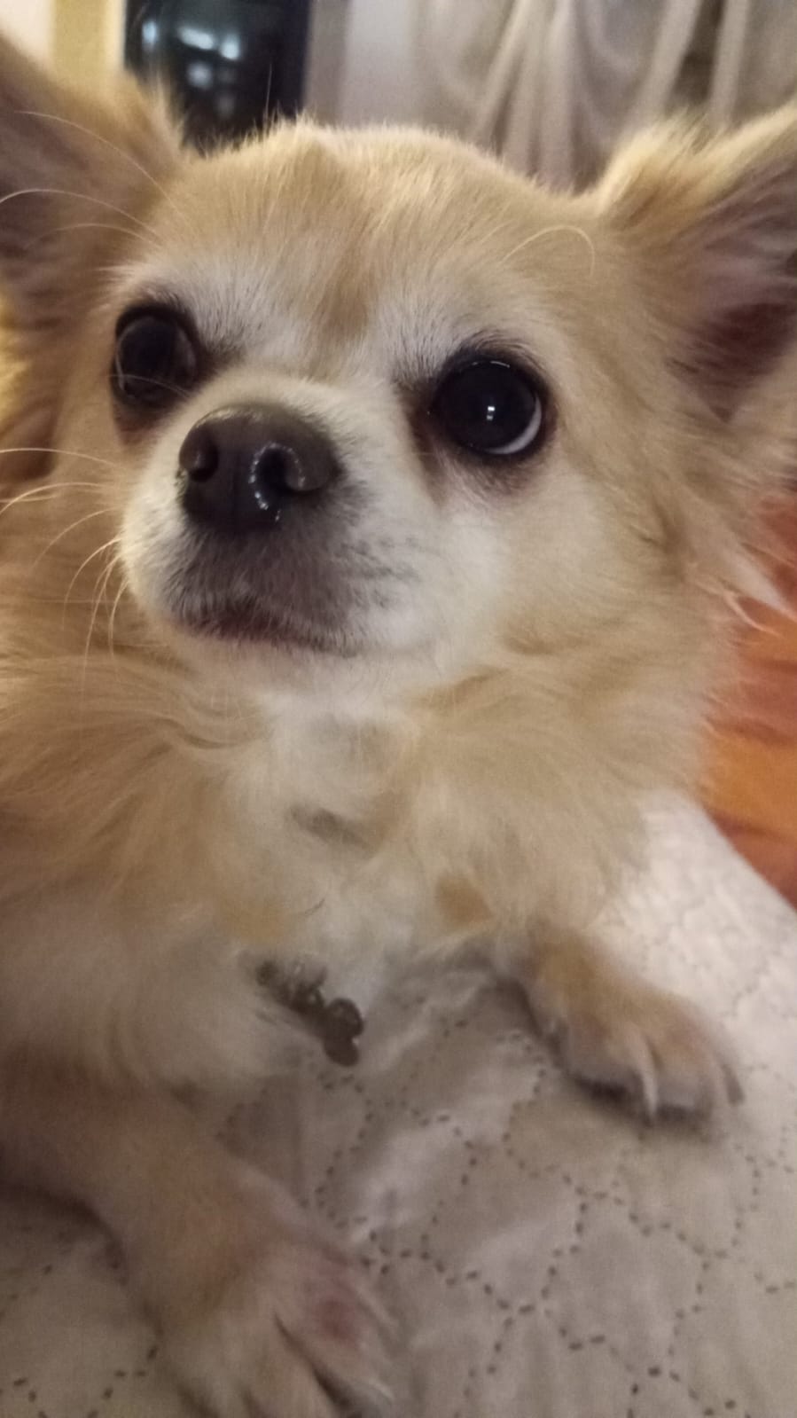 inbound1942575527684376654