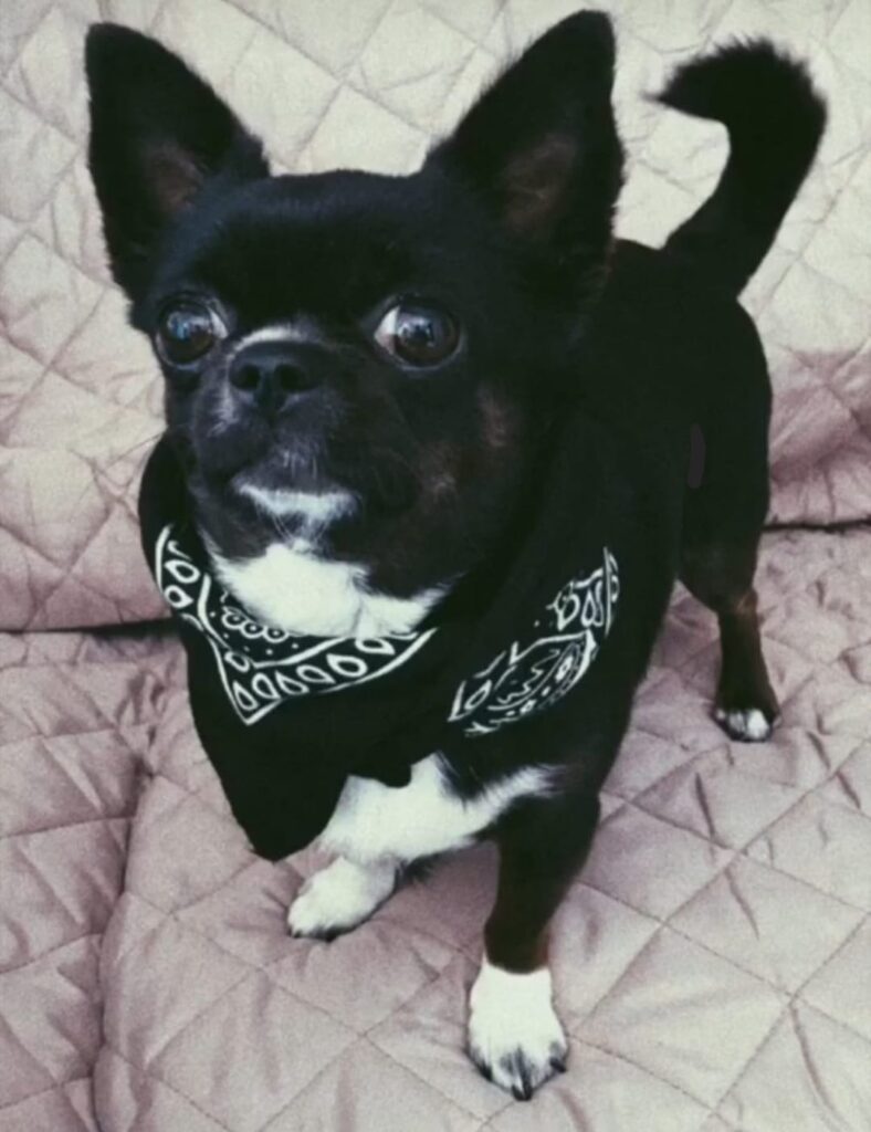 inbound2208408181430586330