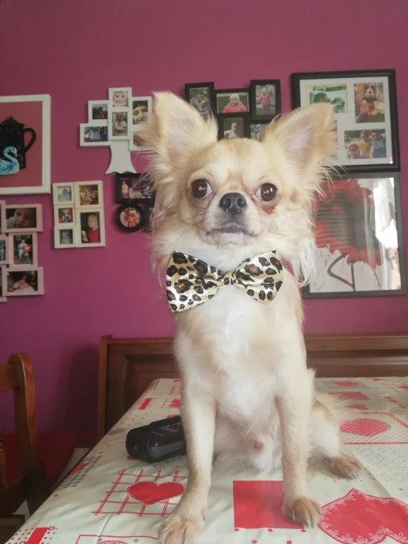 Berto