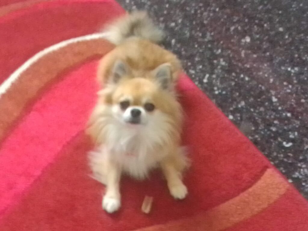 inbound2699471935516892679