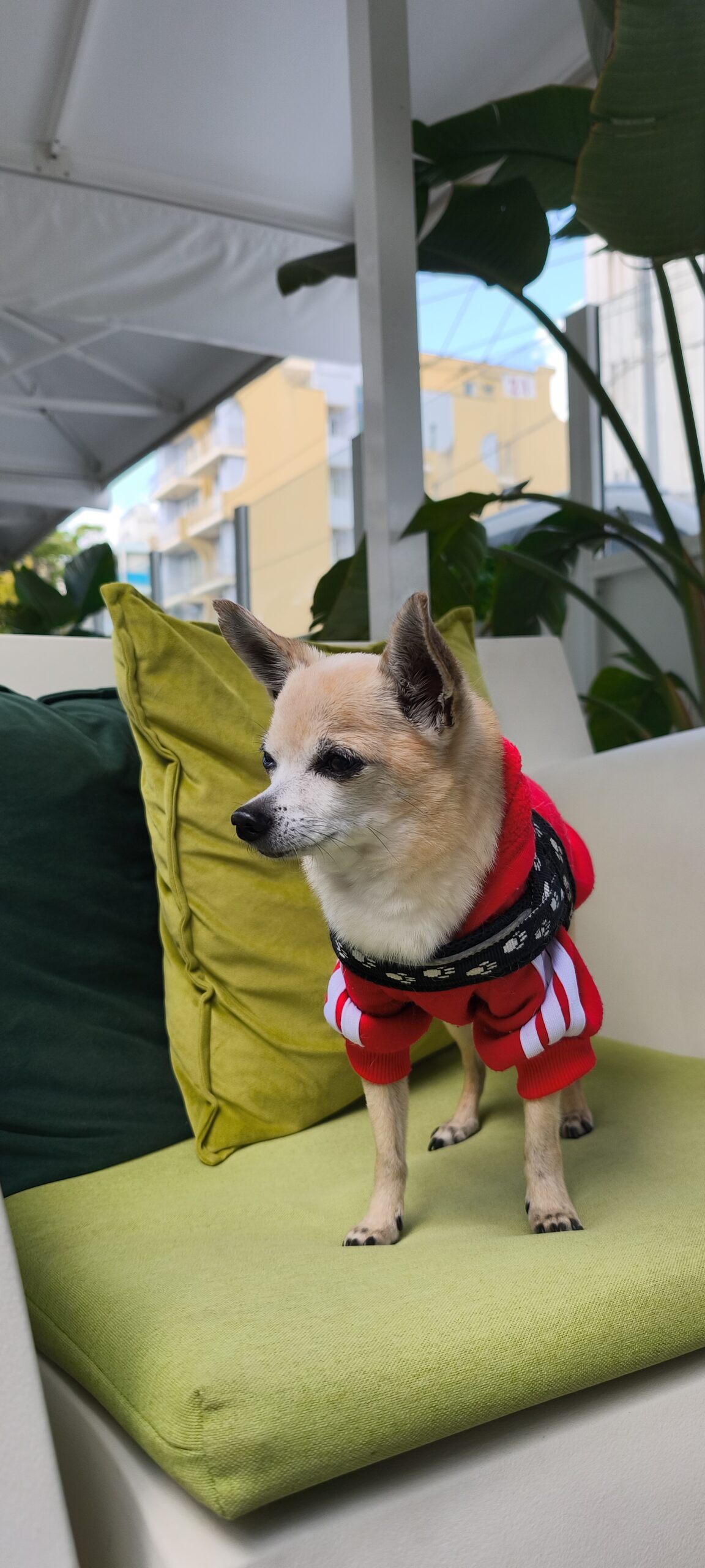 inbound2727314143534984250 scaled