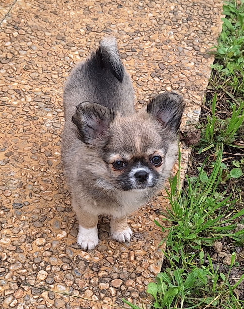 inbound2734231462795700354