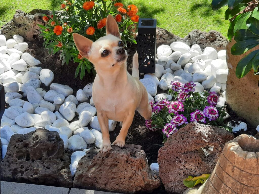 inbound286360260591517616