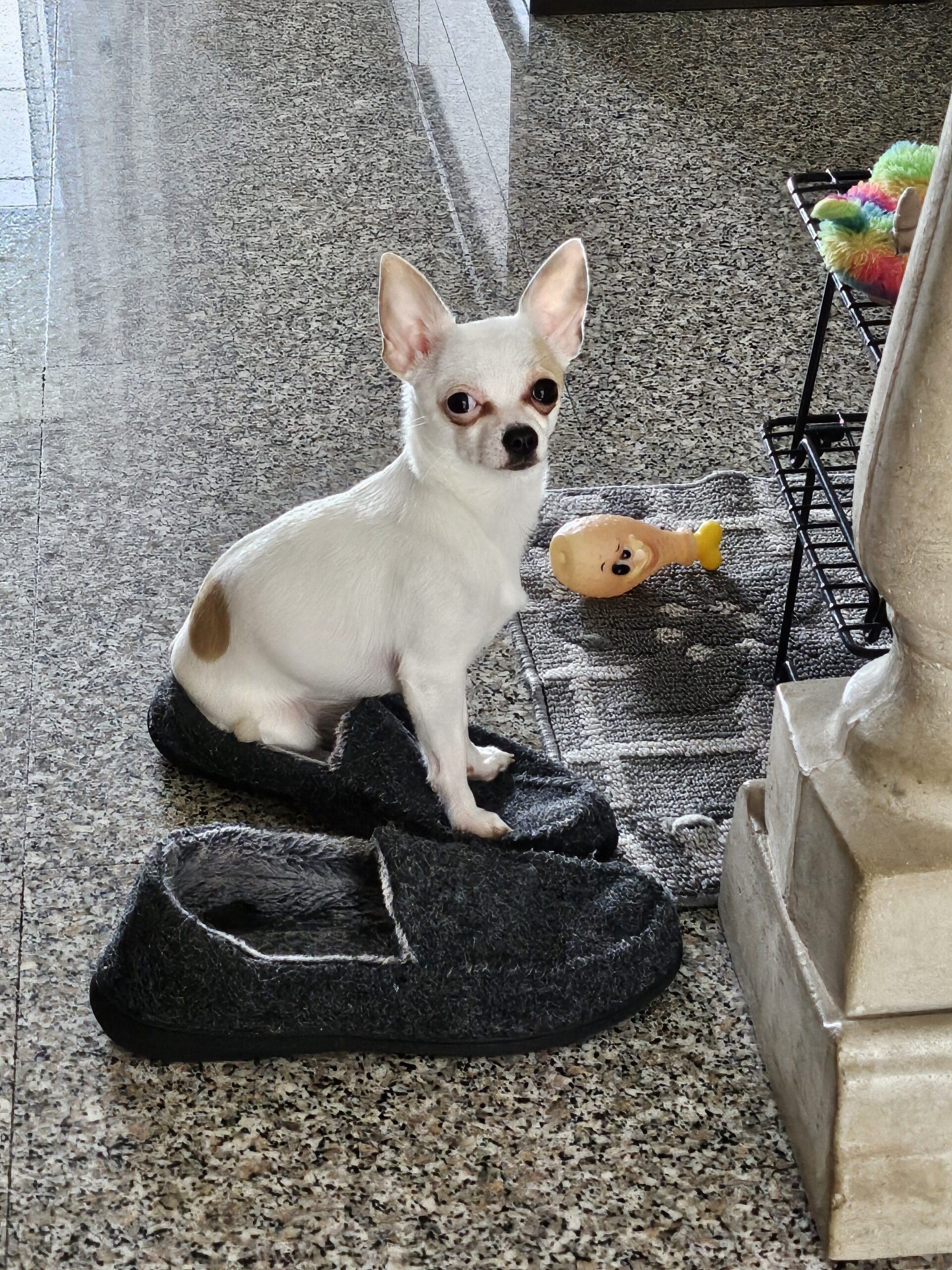 inbound3104974235649349273