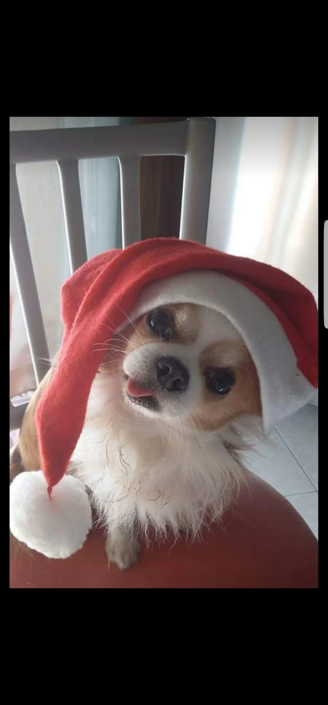 Trudy