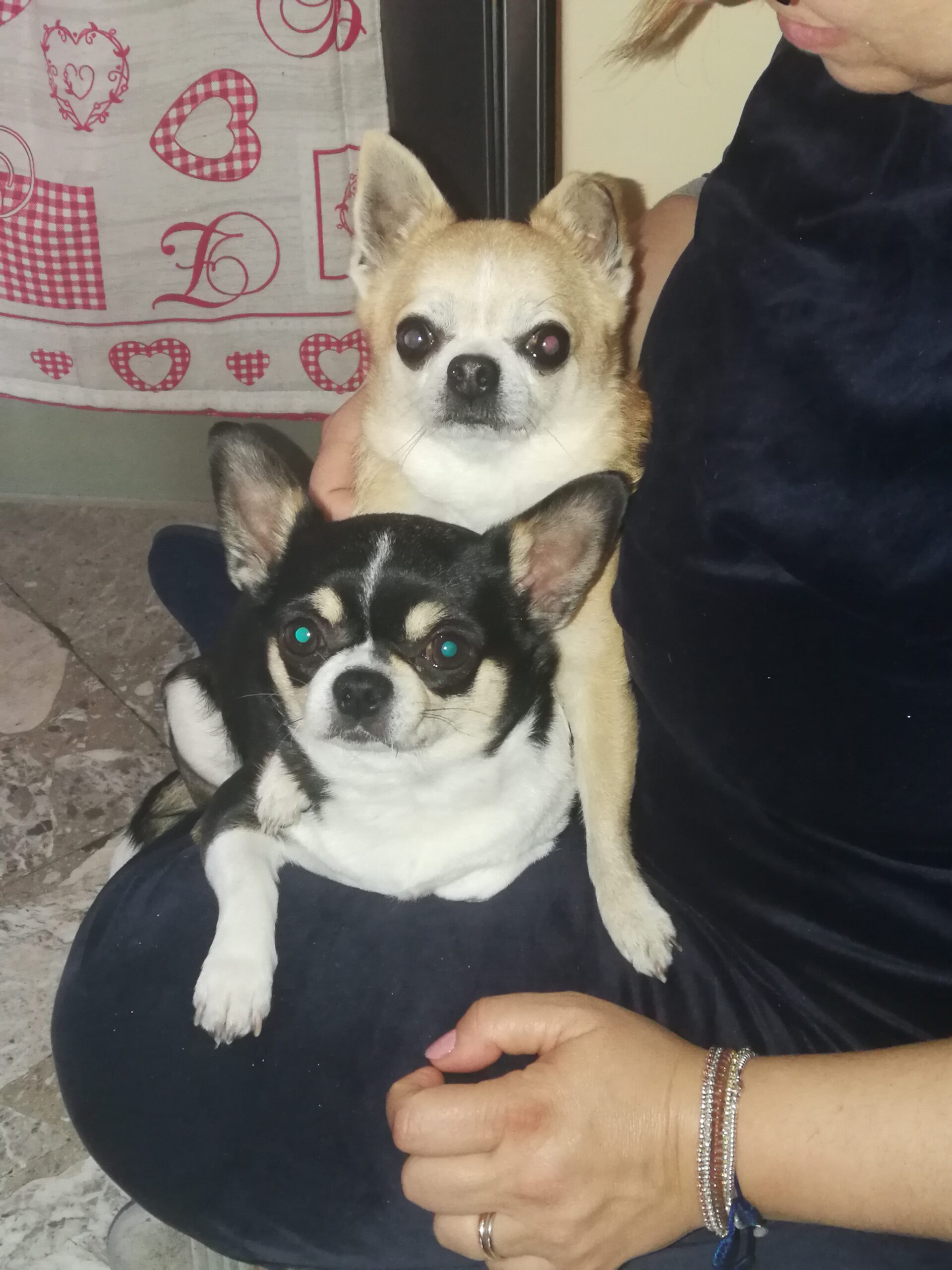 inbound3265439657834191071