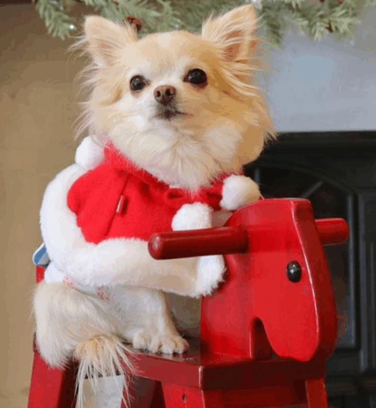 inbound32808999964664300