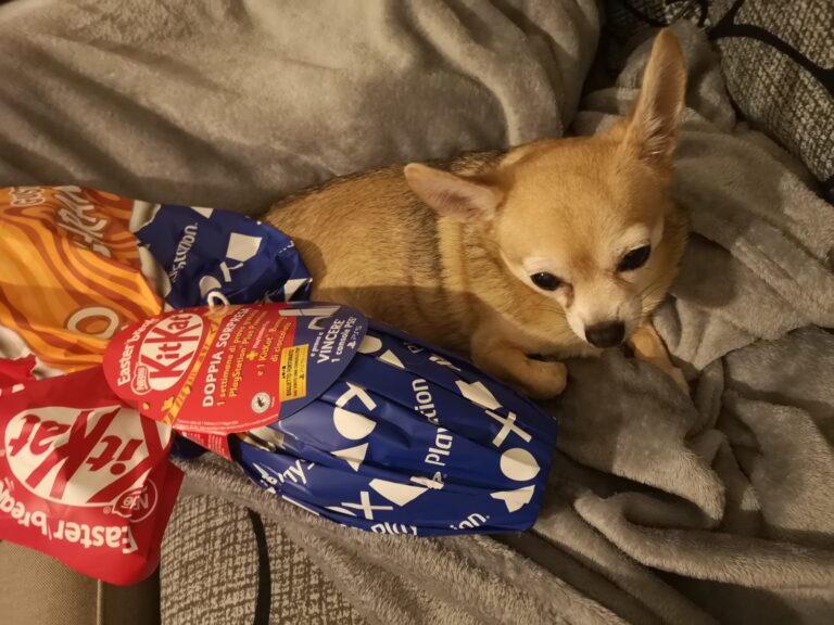 inbound3342139362365345688