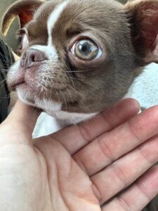 inbound335034141182095916