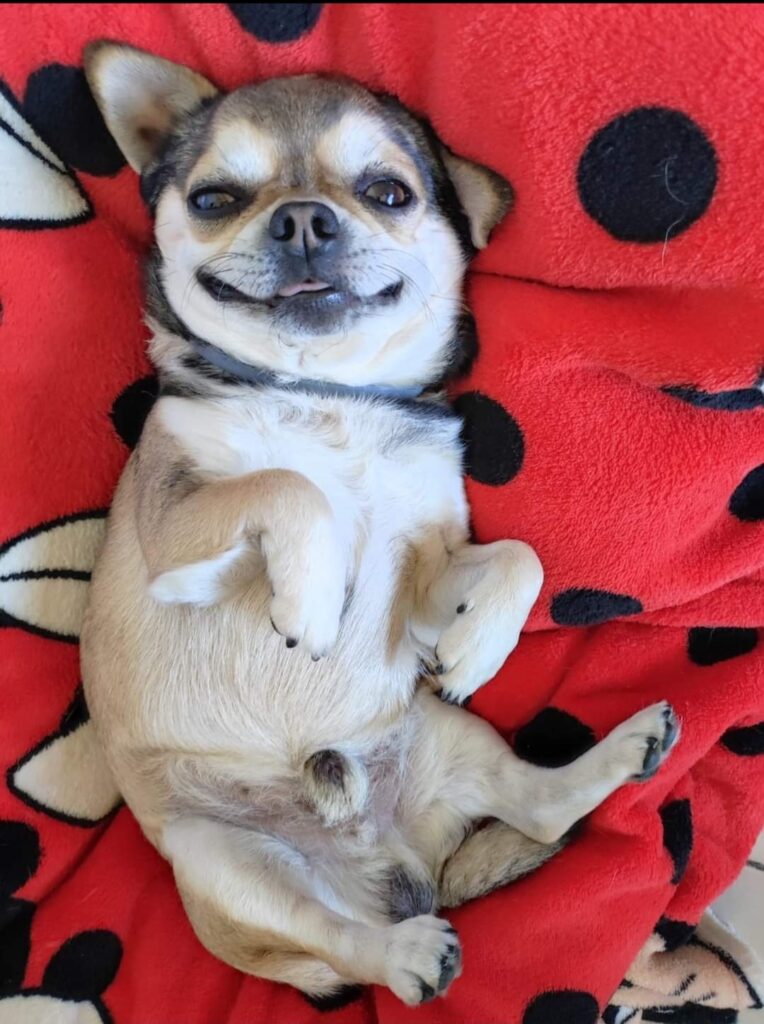 inbound3587992923987636193