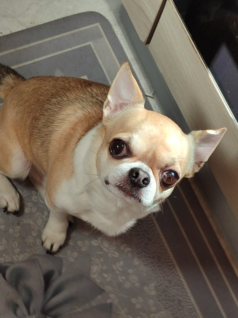 inbound358832274284117854