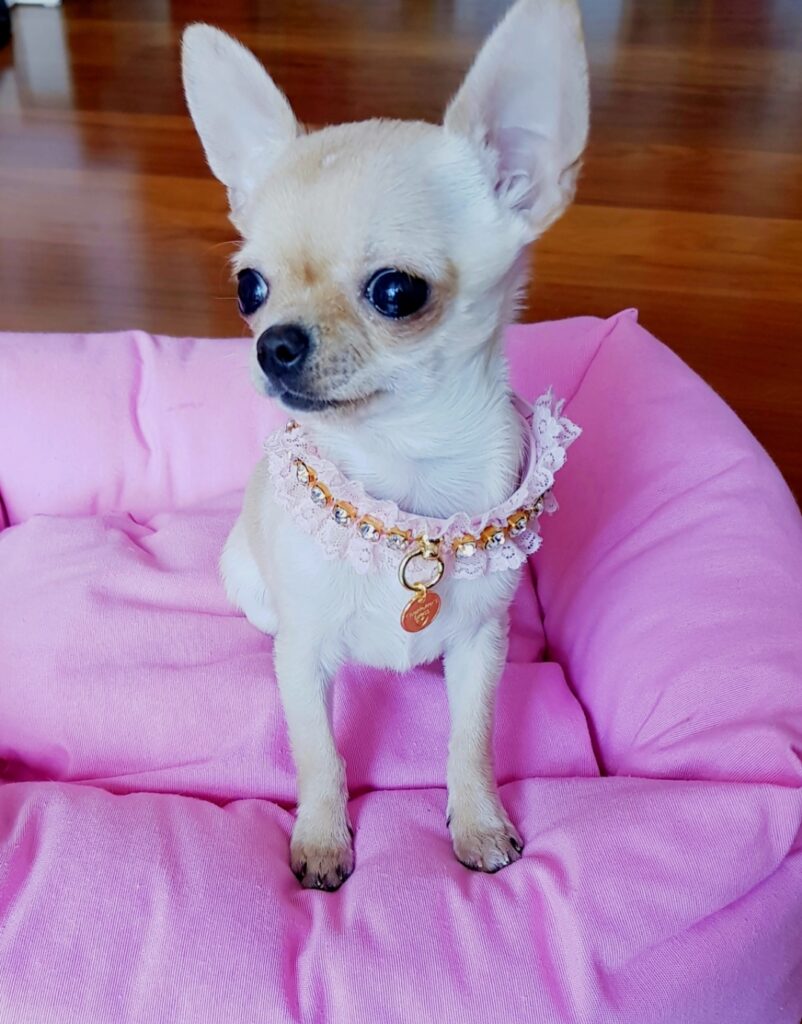 inbound3617511183594230821