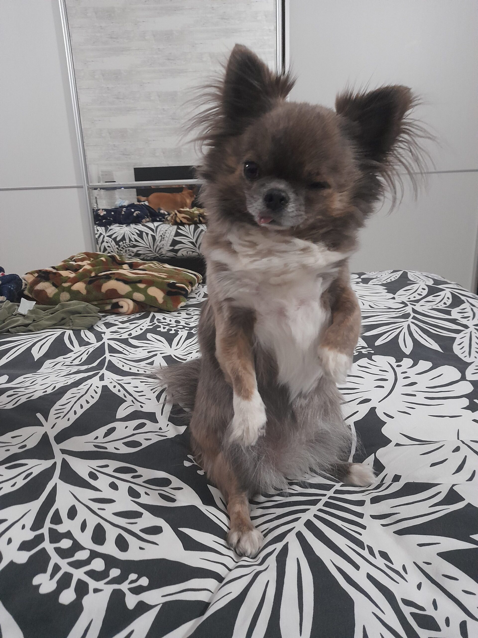 inbound3764402635293895849