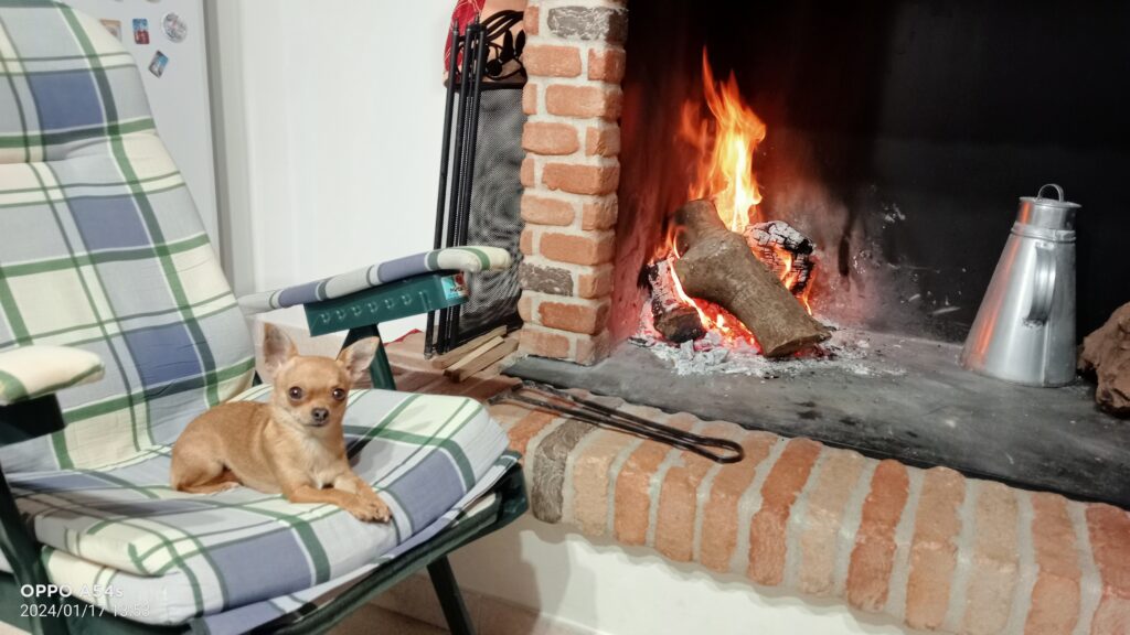 inbound3804265326376656796