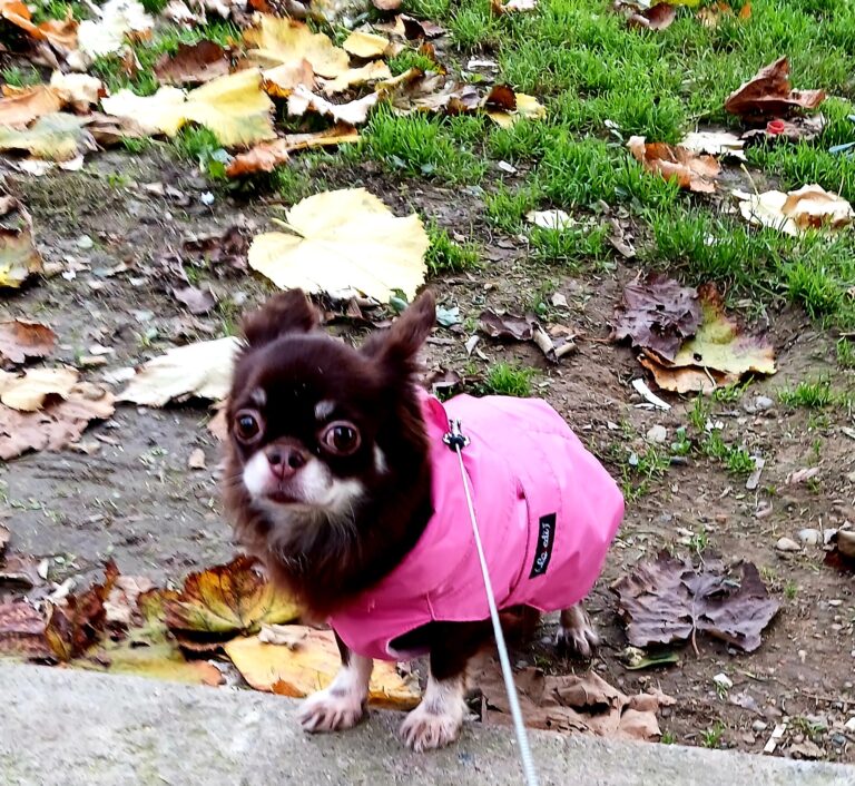 inbound3927777644535719002