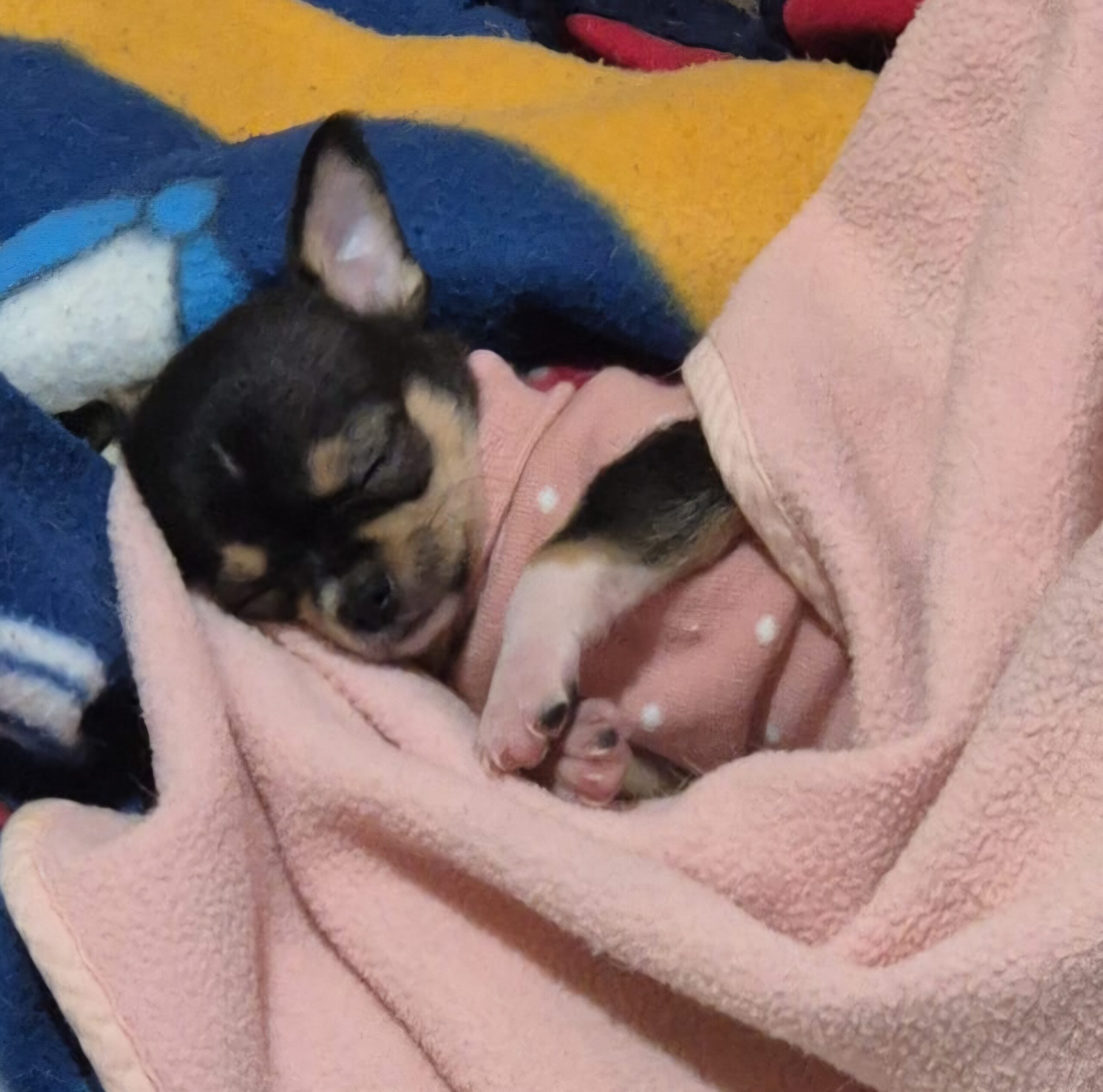 inbound4113617638768160290 scaled