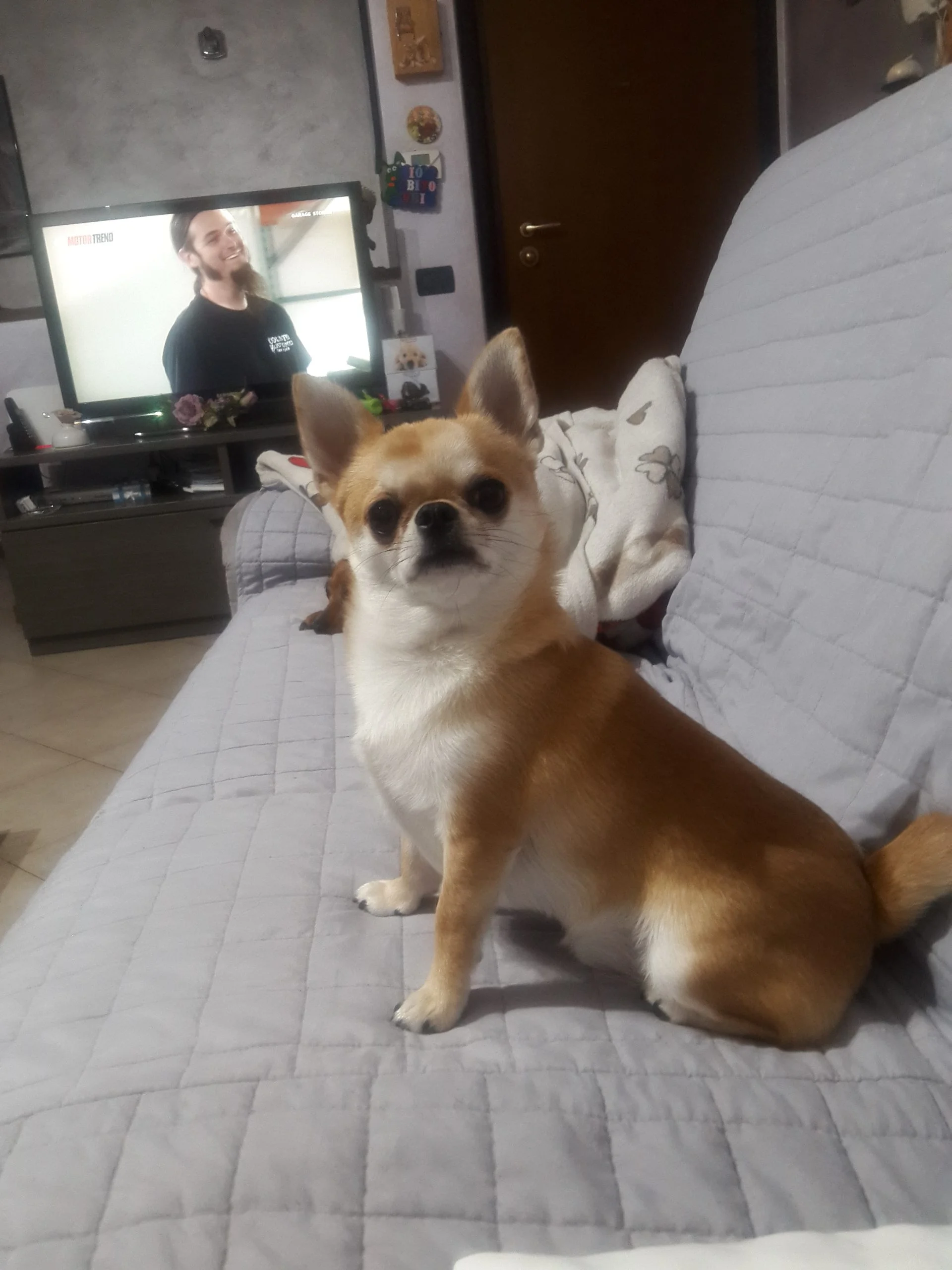 Rocki