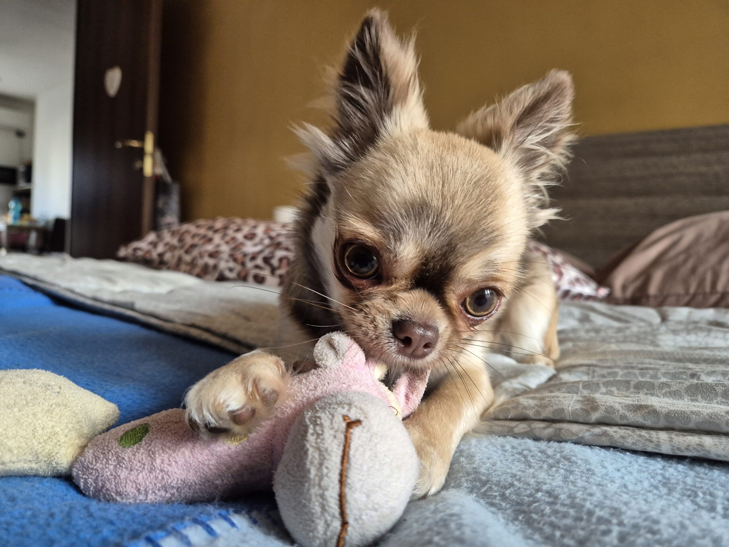 inbound4851514078329934410 scaled