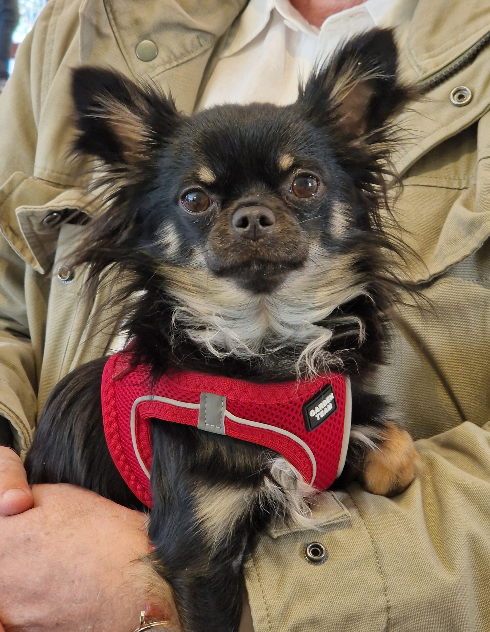 inbound492912510221892605 scaled