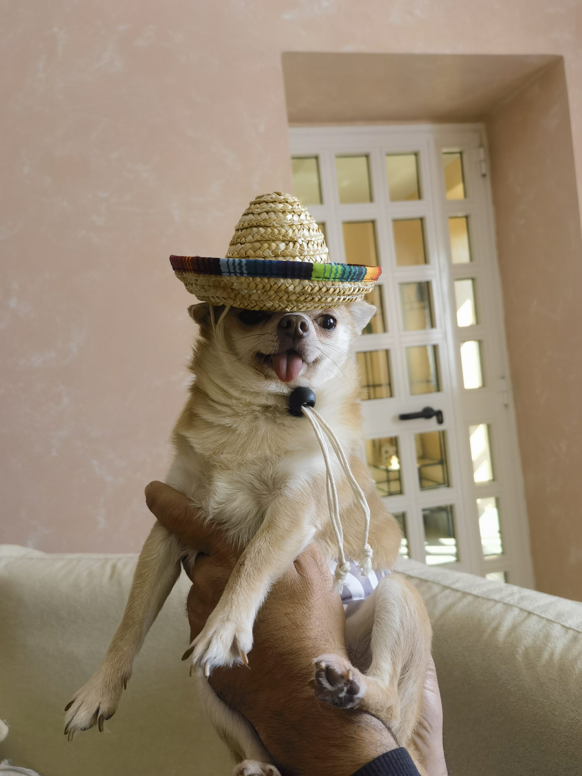 inbound5186986612453967893 scaled