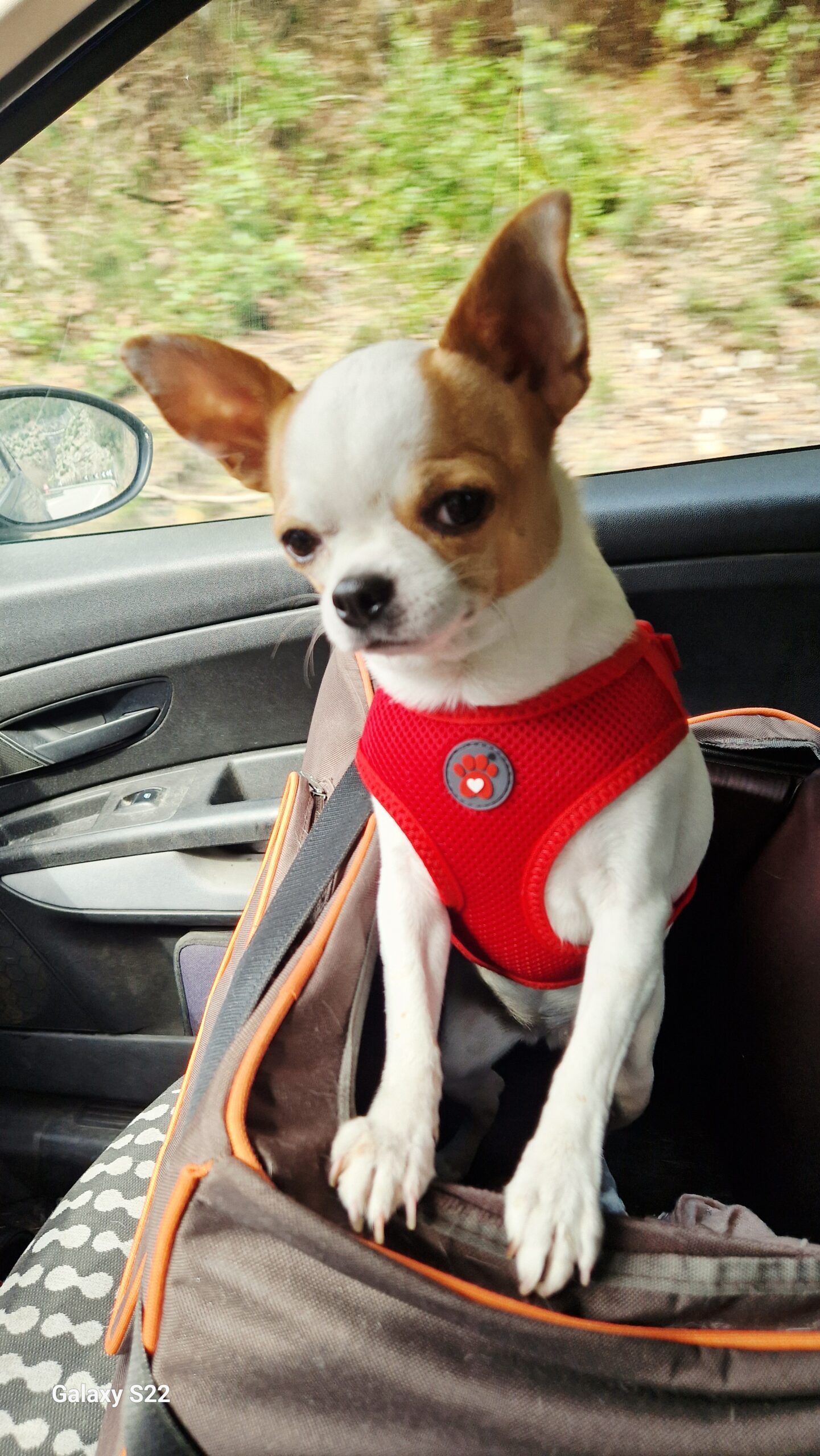 inbound5234522301594116392 scaled