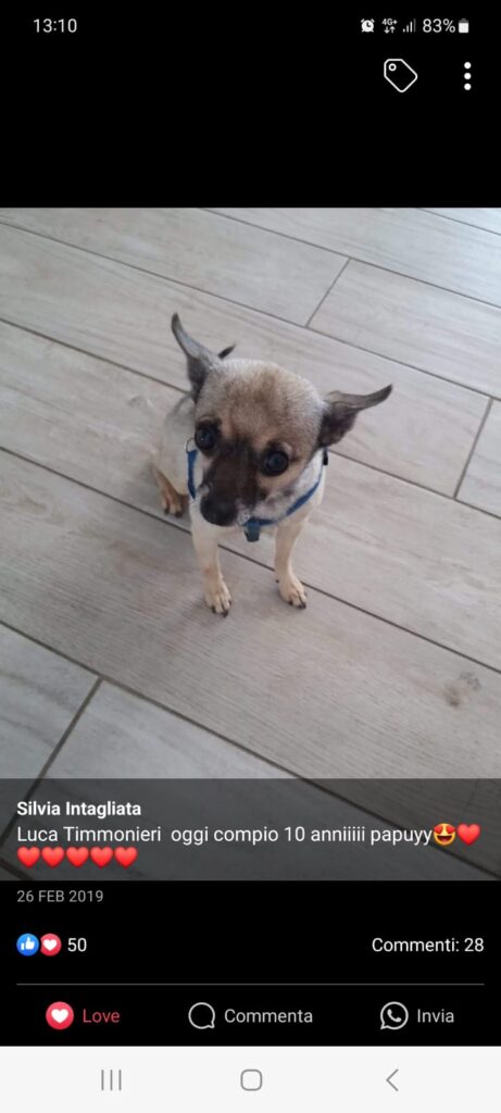 inbound5292273211358886797