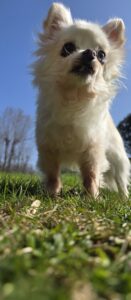 inbound5405449531630280244