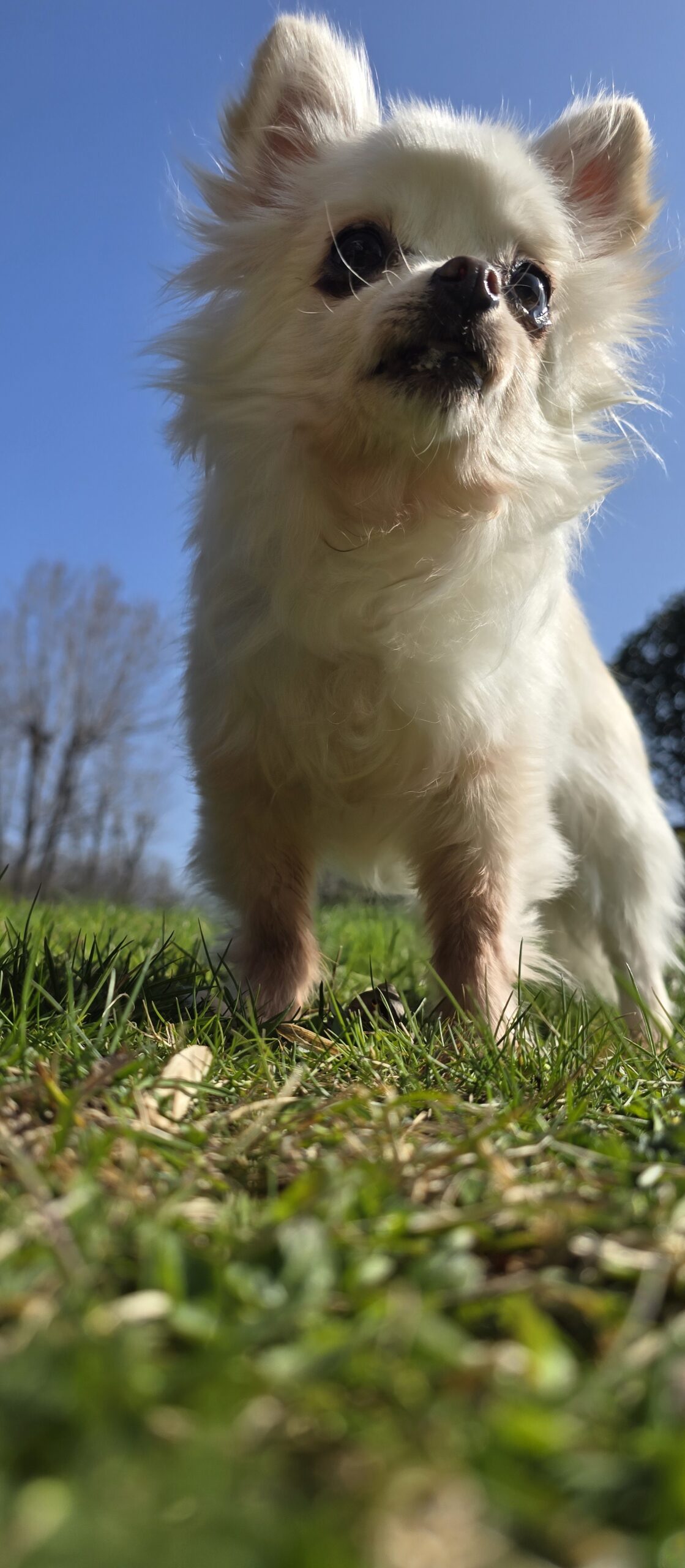 inbound5405449531630280244 scaled