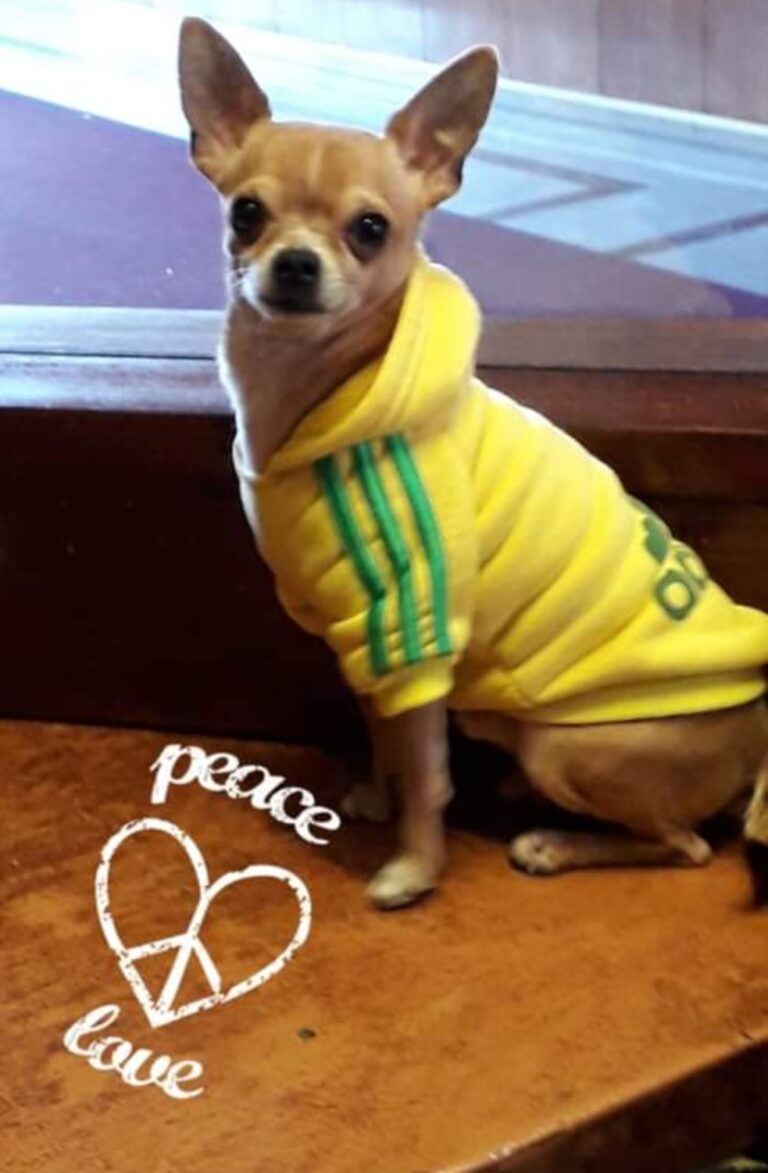 inbound5702179731456640049