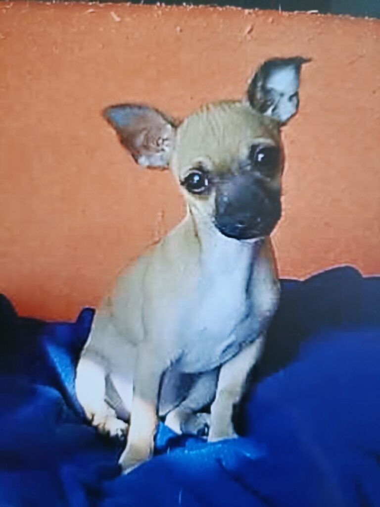 inbound5789063441211480897