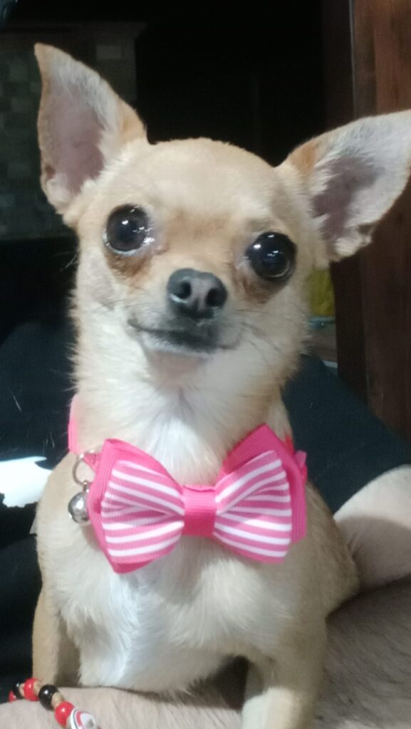 inbound5790802345621244040