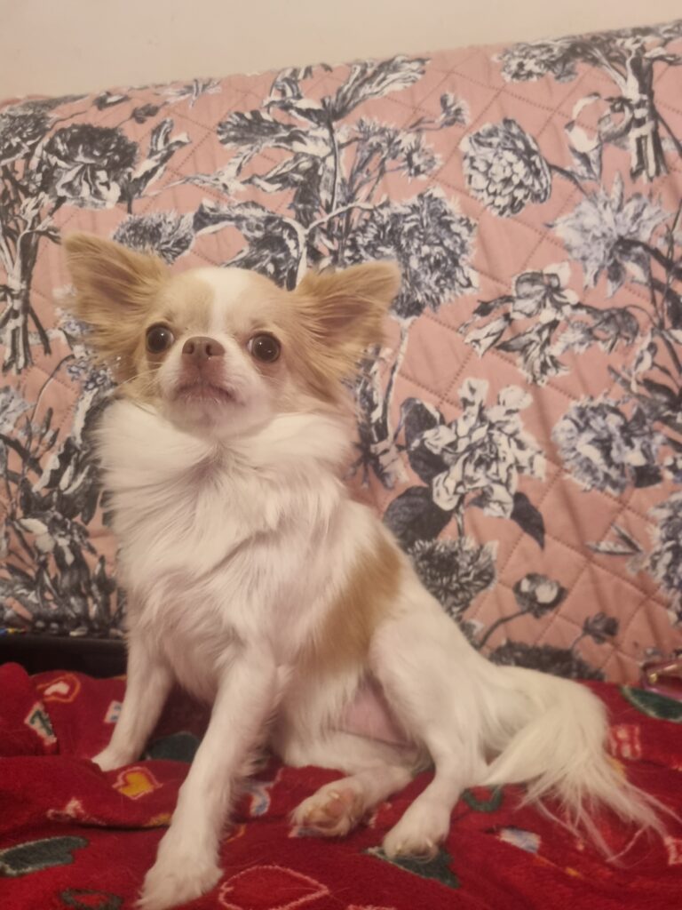 inbound6007185390574567570