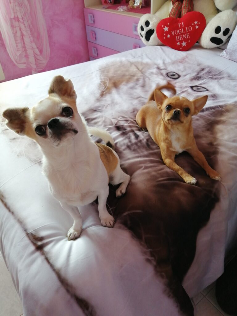 inbound6158201649132089863