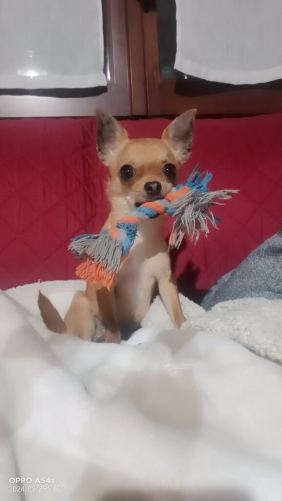 inbound6170744990117061005