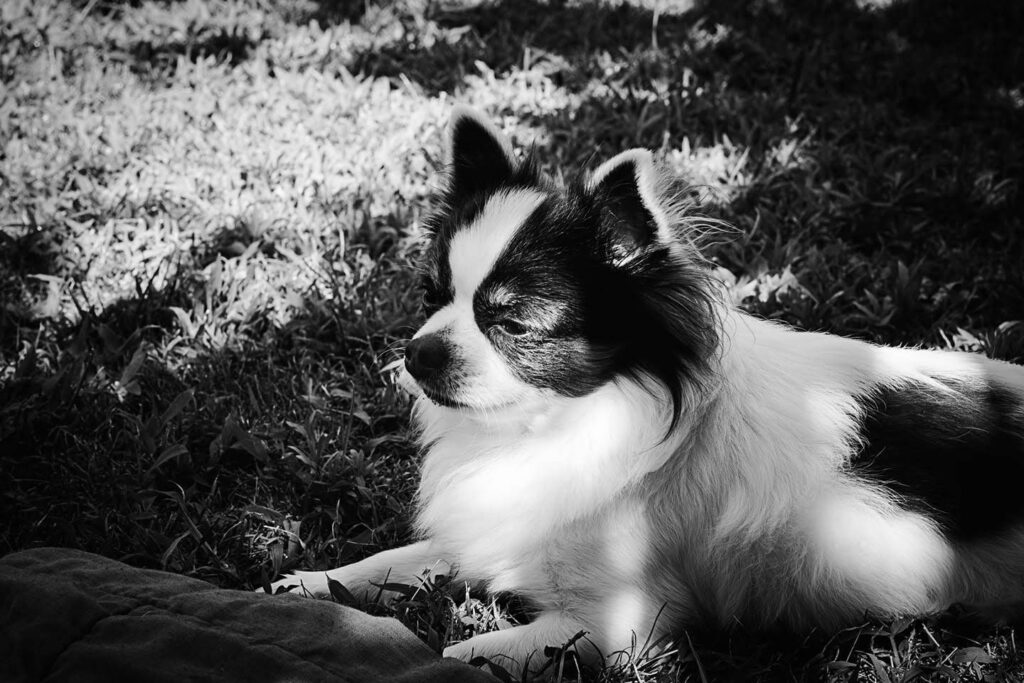 inbound6377229614606945703