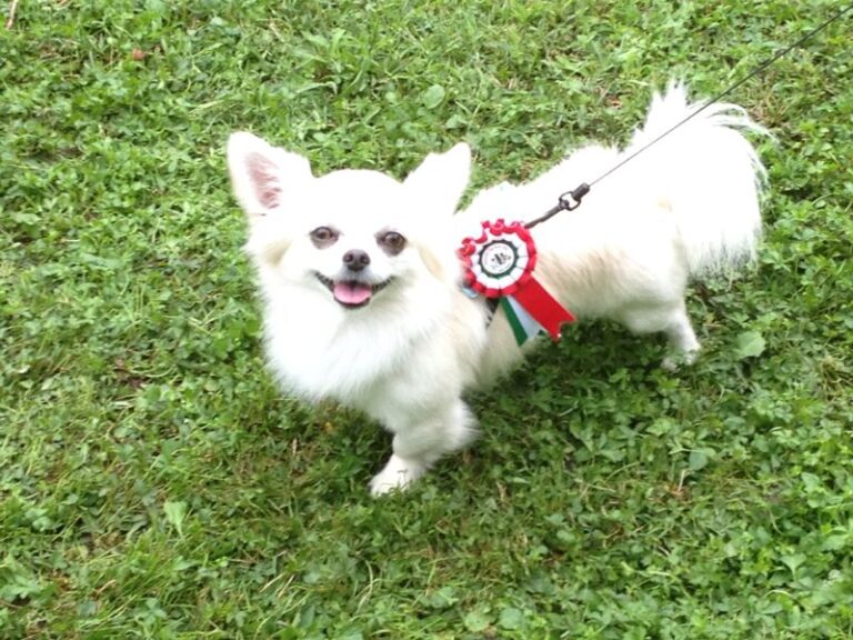 inbound6469141858737161731