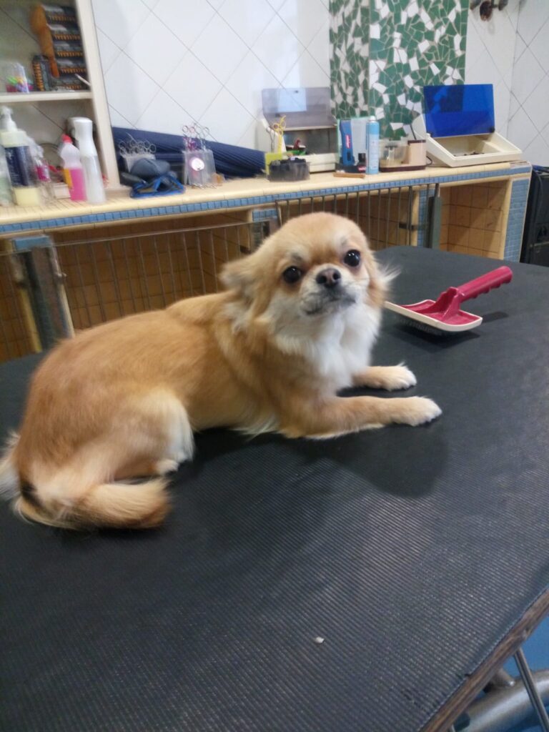 inbound6657768762501782552