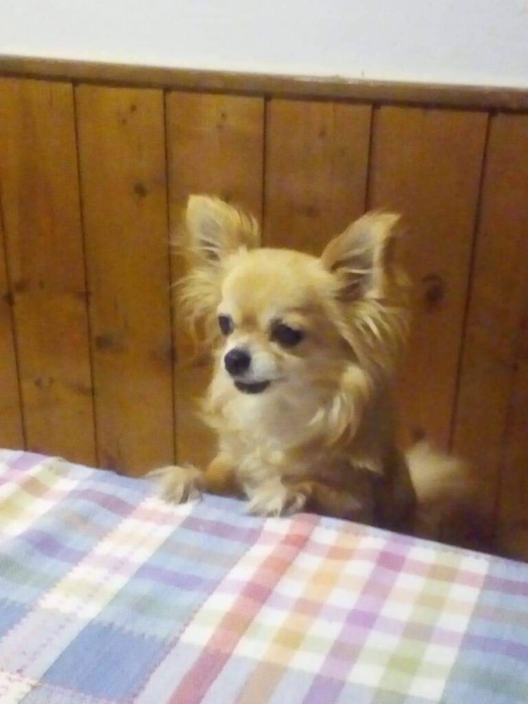 inbound6684246676517583358