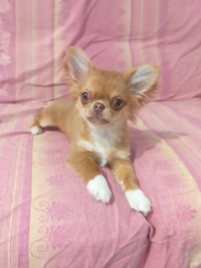 inbound6837141483764565156