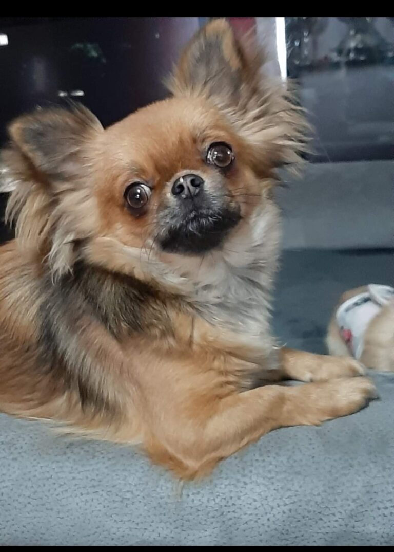 inbound7007756846796124532