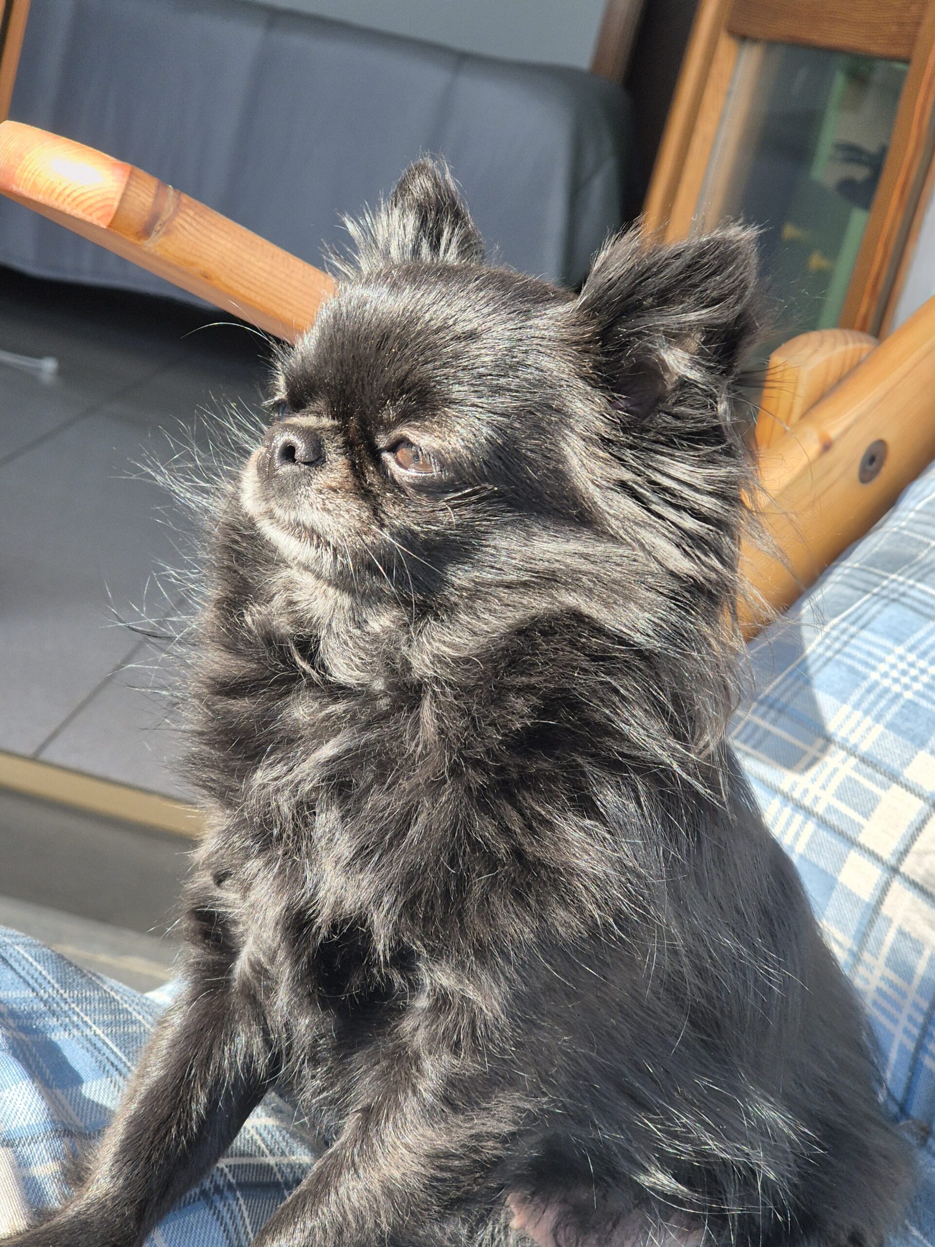 inbound7037397164002101815