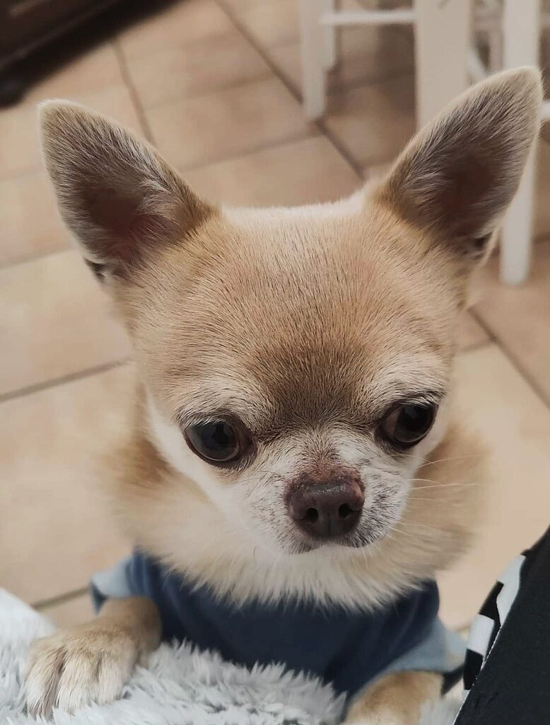 inbound718856850123025099