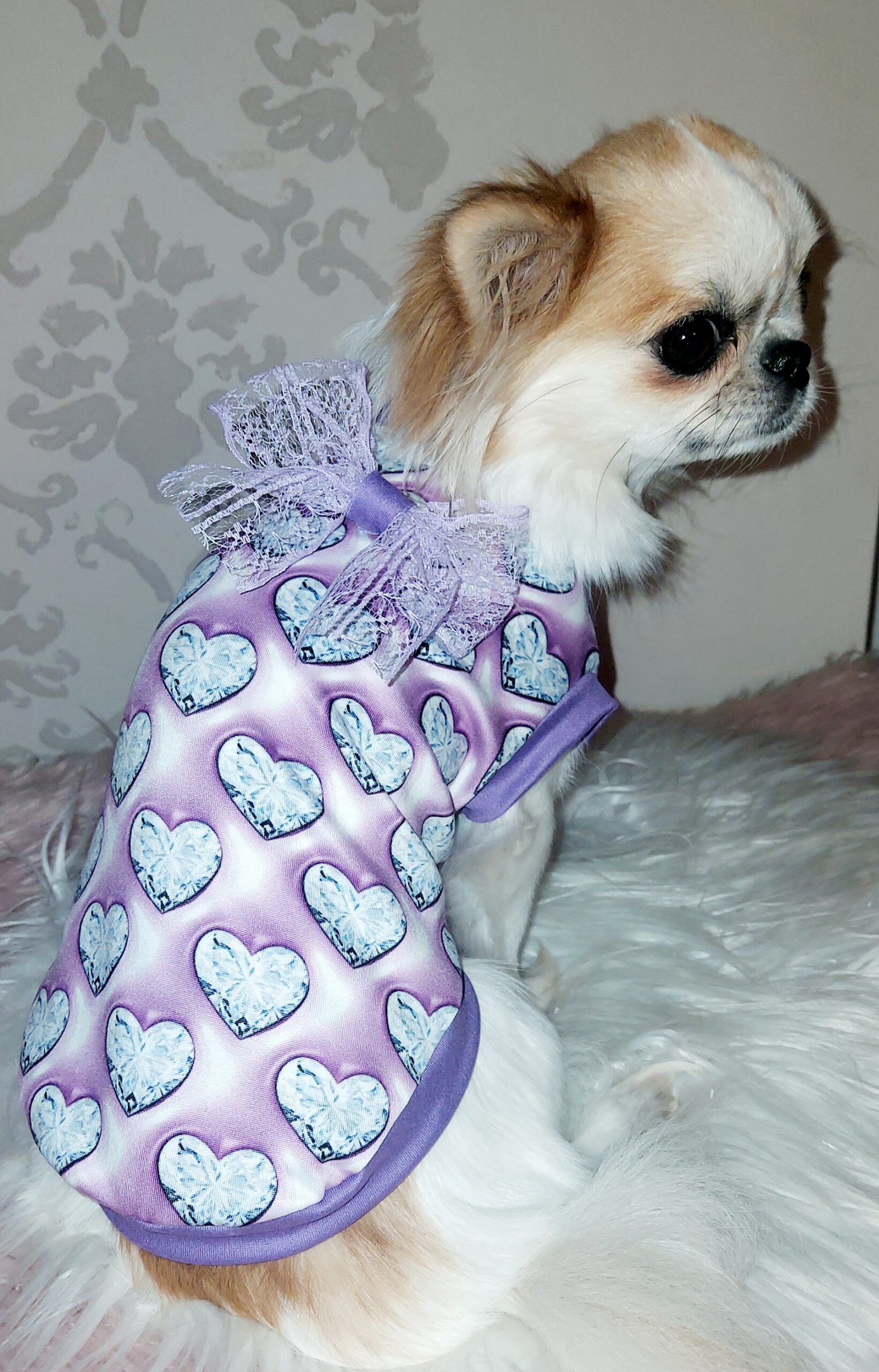 inbound7544785915372069825