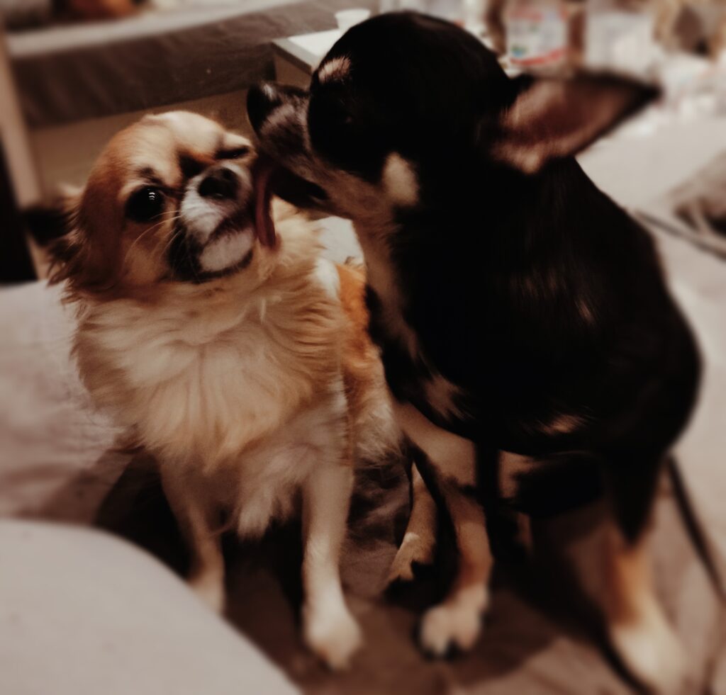 inbound7602082787859519680