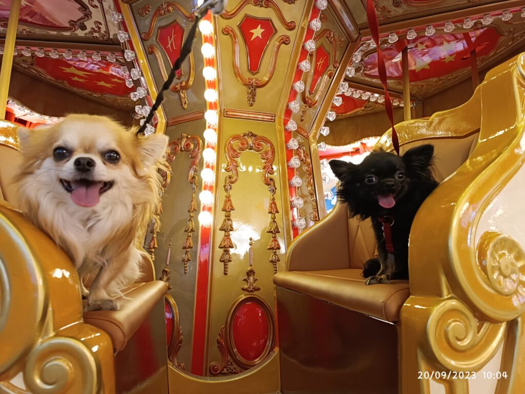 inbound7676403832698284210