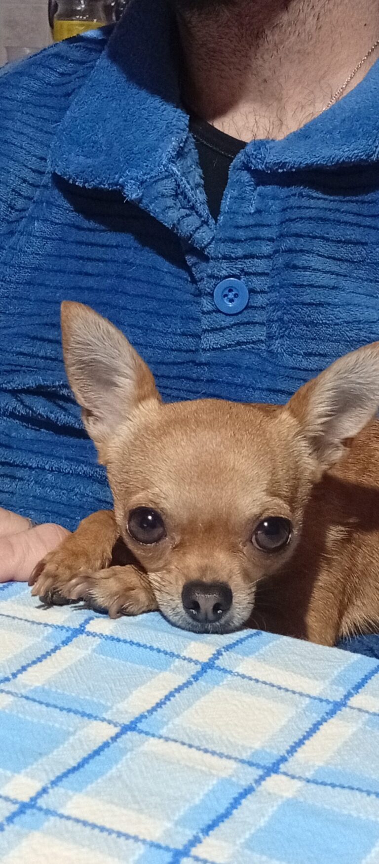 inbound7929827417721930970