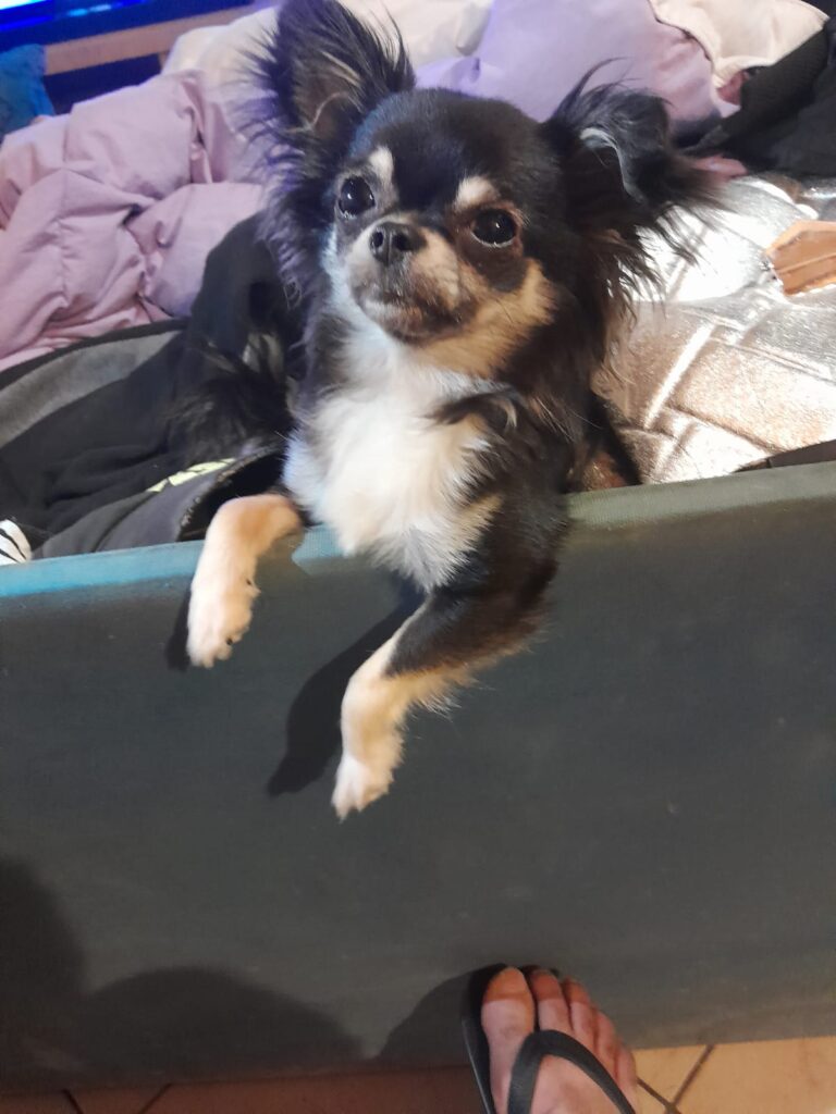 inbound8012559653021803508