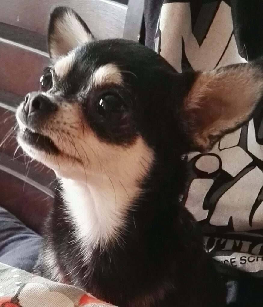 inbound8176409585085095724